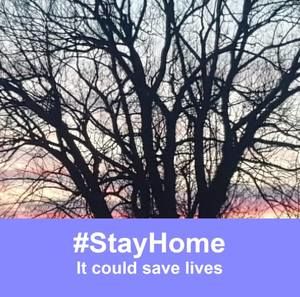 Meet your Posher, Fran